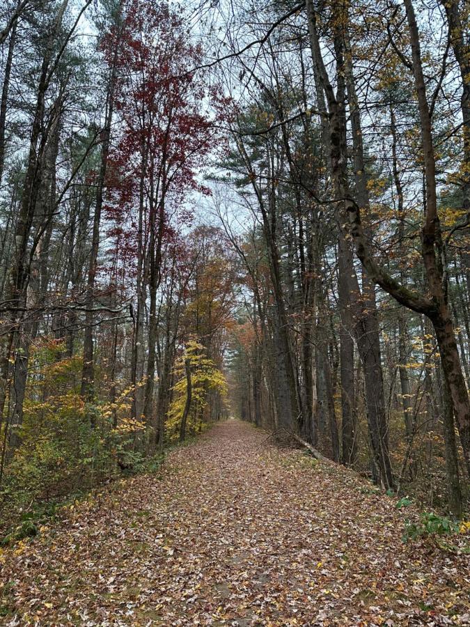 Escape To A Streamside Cabin In The Lower Catskills Wurtsboro Экстерьер фото